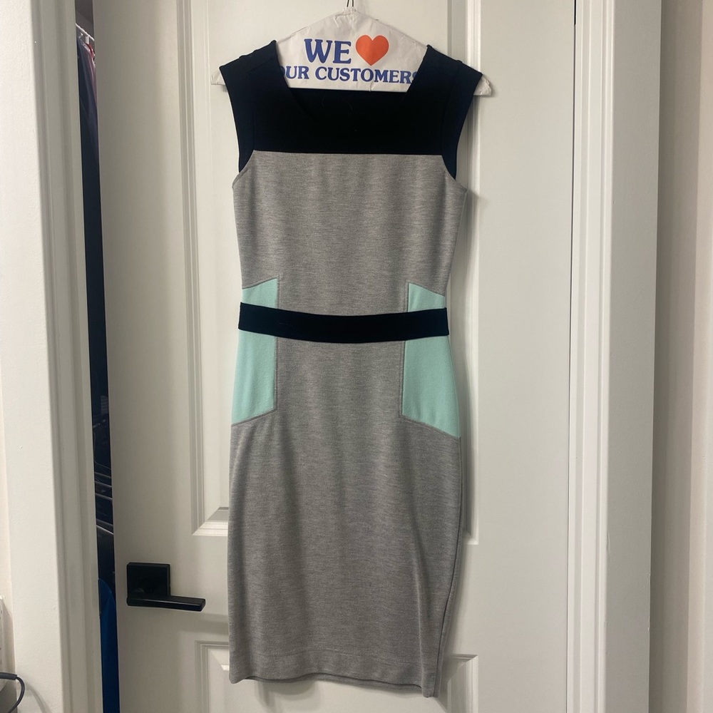Venus Dress; Size 0